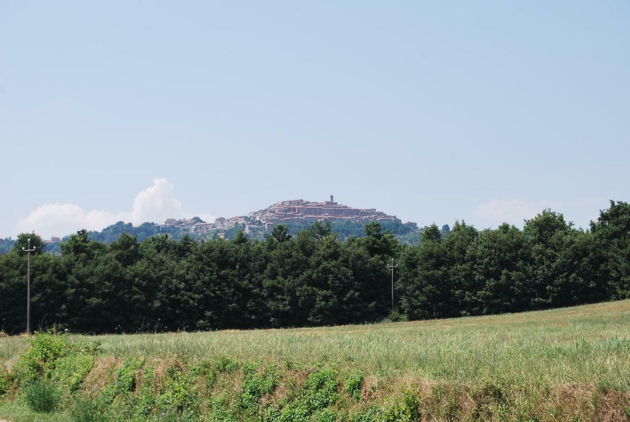 Casa Bartali Villa Chiusdino Buitenkant foto